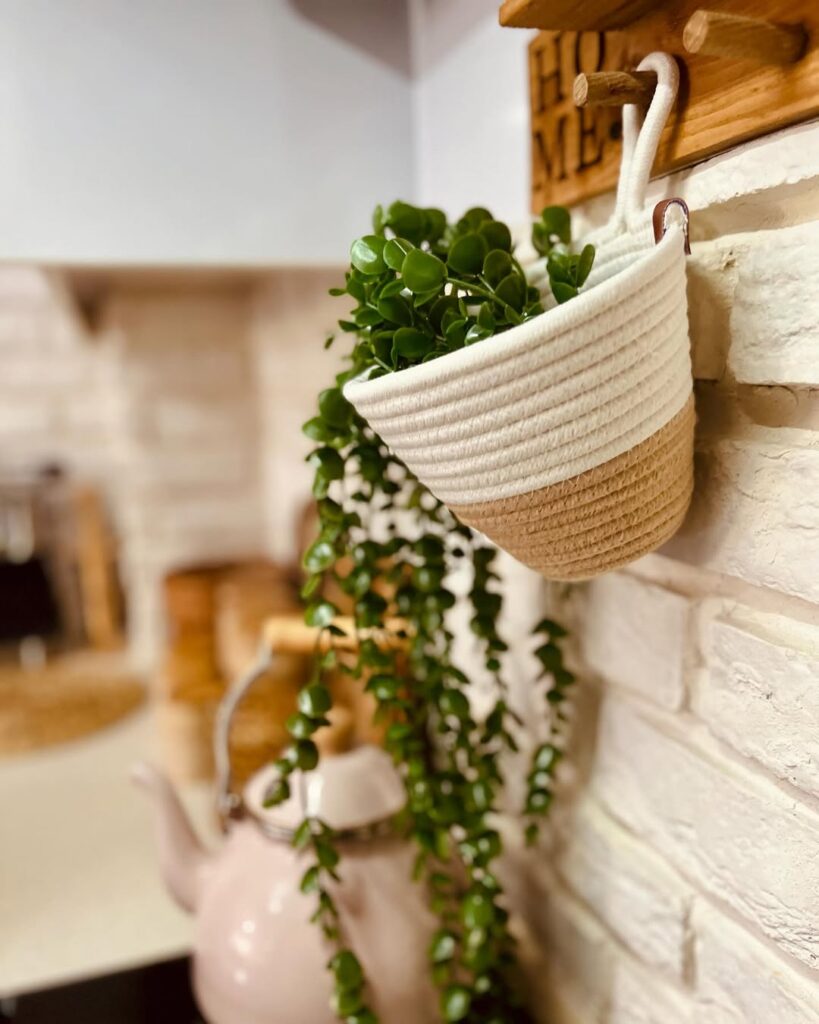 Boho Home Decore picture